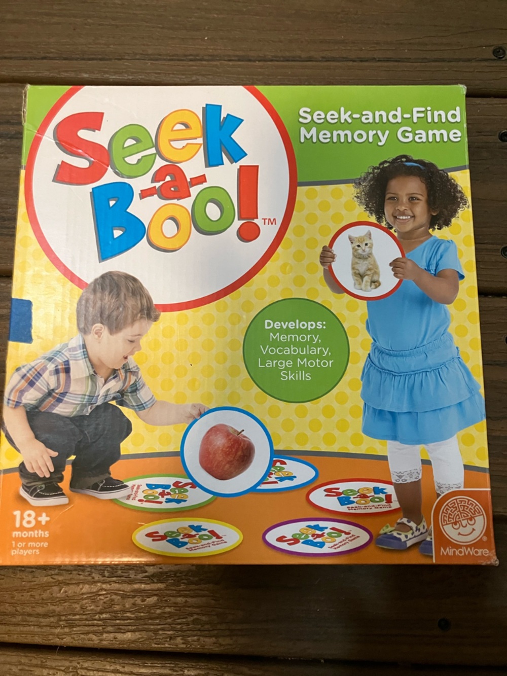 Seek-a-Boo! Seek-and-Find Memory Game - Yellow
